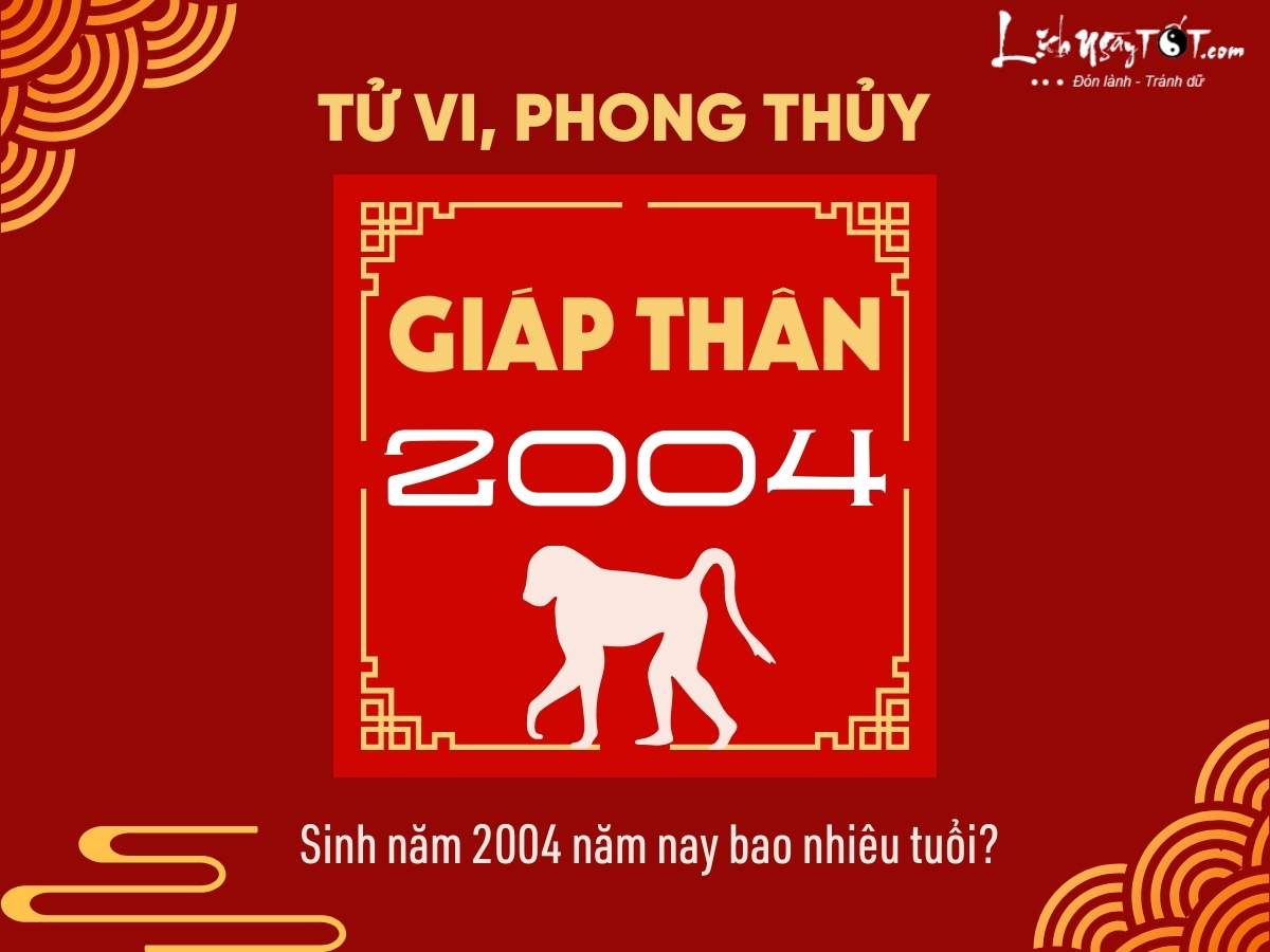 Tử vi nam Giáp Thân 2004 năm 2026 chi tiết