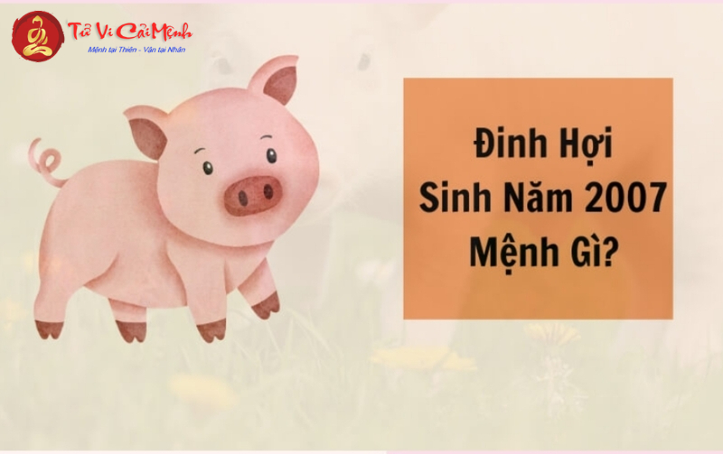 Bản đồ chiêm tinh Vệ Đà cho người sinh năm 2007