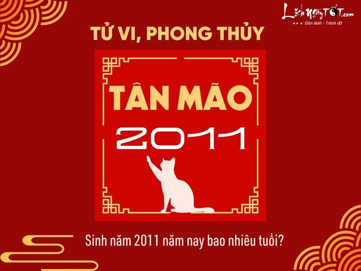 Tuổi của 2k11 và lớp học năm 2026