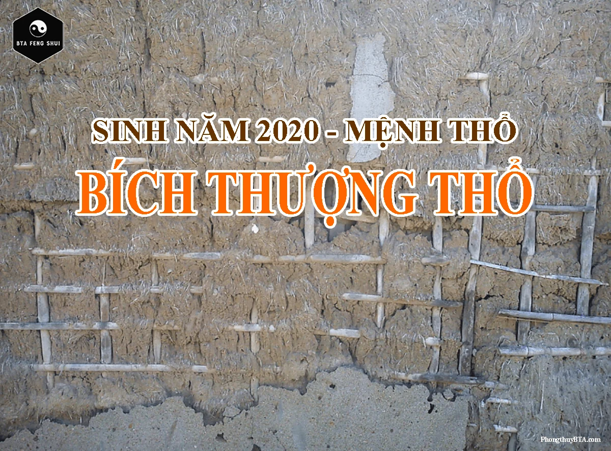 Tử vi tuổi Canh Tý 2020 nữ mạng năm 2026