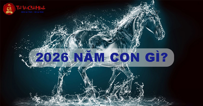 Sinh năm 1921 bao nhiêu tuổi 2026? Giải mã tuổi tác, vận mệnh và con số may mắn Người sinh năm 1921 bao nhiêu tuổi vào năm 2026