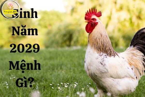 Nữ sinh 2029 mặc đồng phục tươi cười đến trường