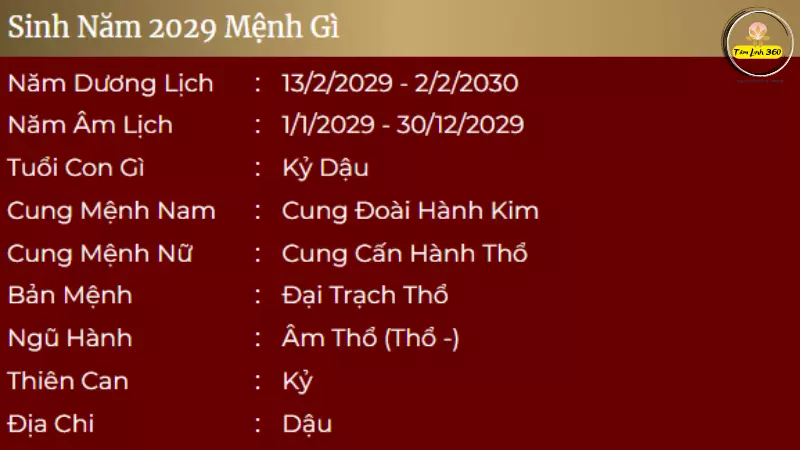 Nữ sinh 2029 mặc đồng phục tươi cười đến trường