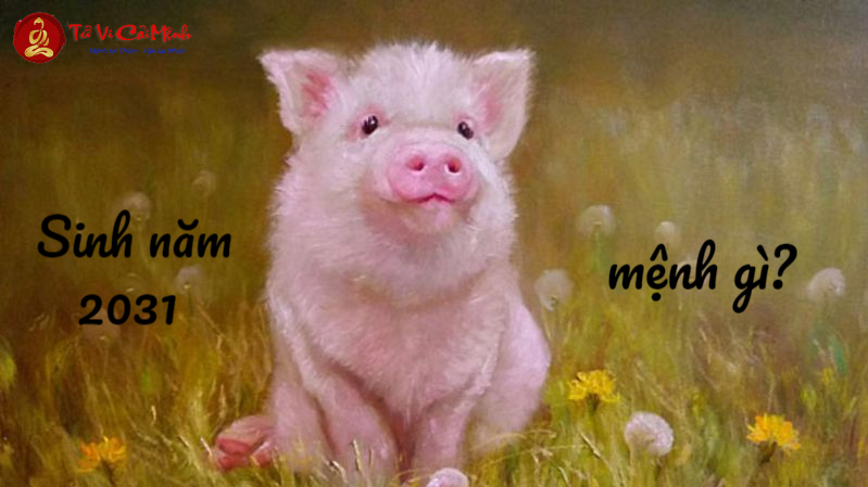 Bảng tra cứu tuổi Tân Hợi 2031