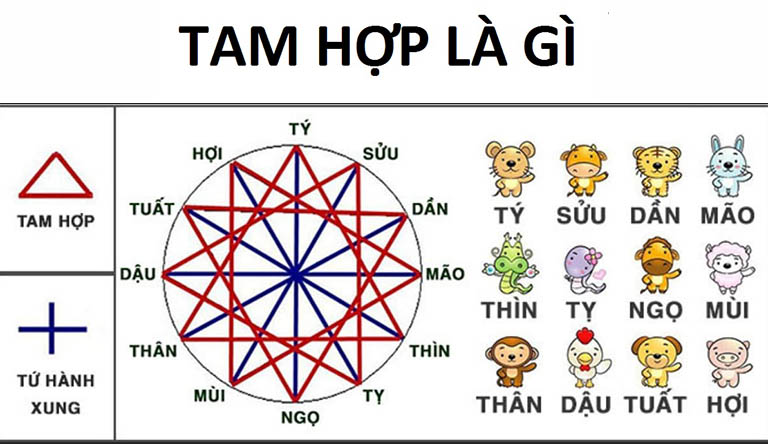 Khái niệm tam hợp trong phong thủy và tử vi