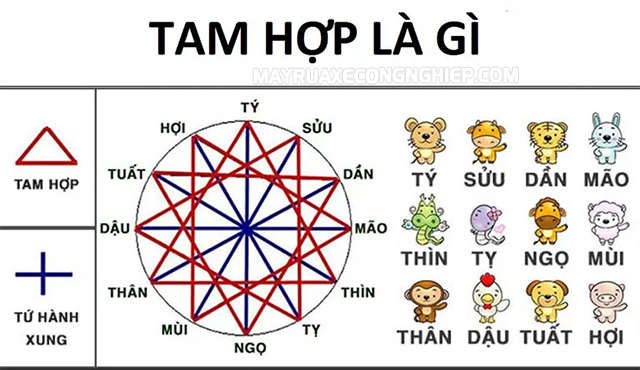 Tam hợp tuổi Hợi mang lại may mắn và tài lộc