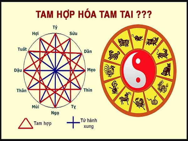 Tam hợp tuổi Hợi mang lại may mắn và tài lộc