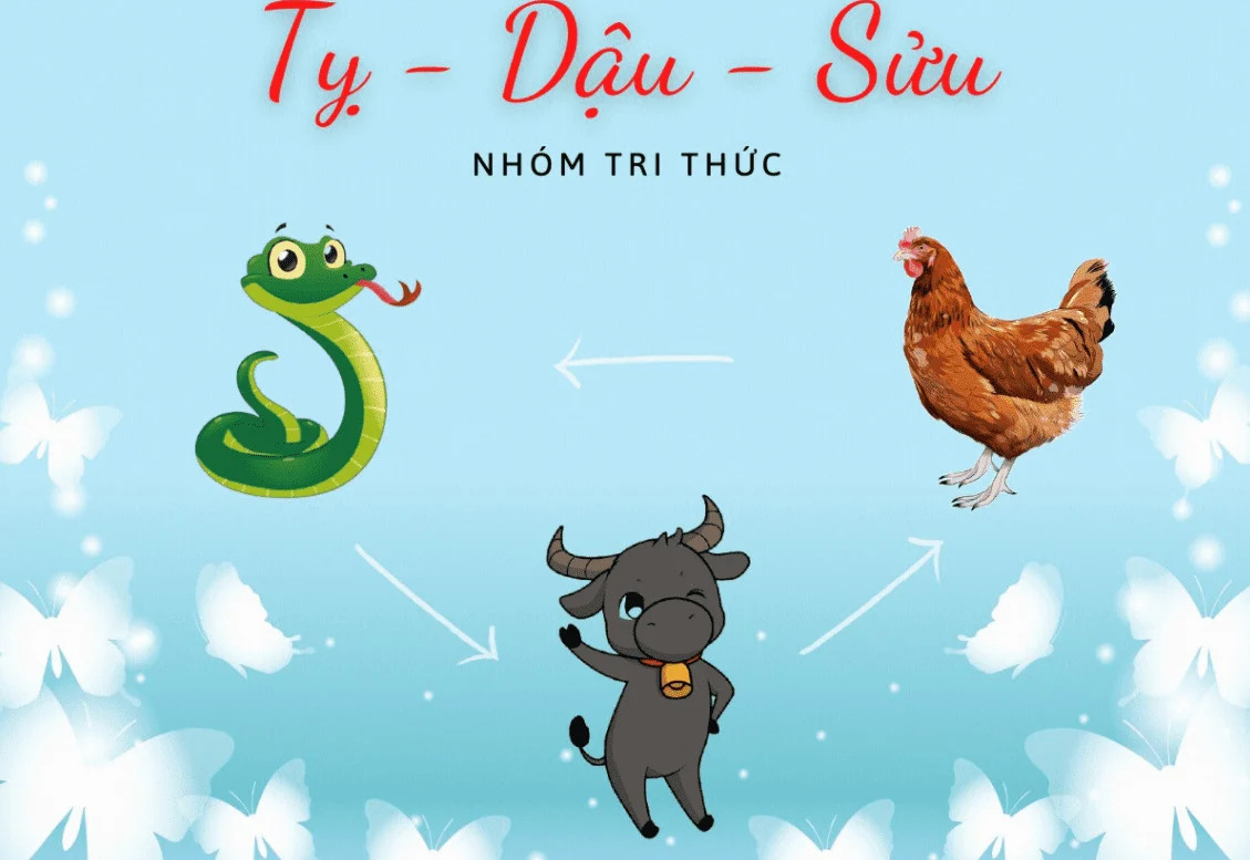 Khái niệm tam hợp trong phong thủy và tử vi