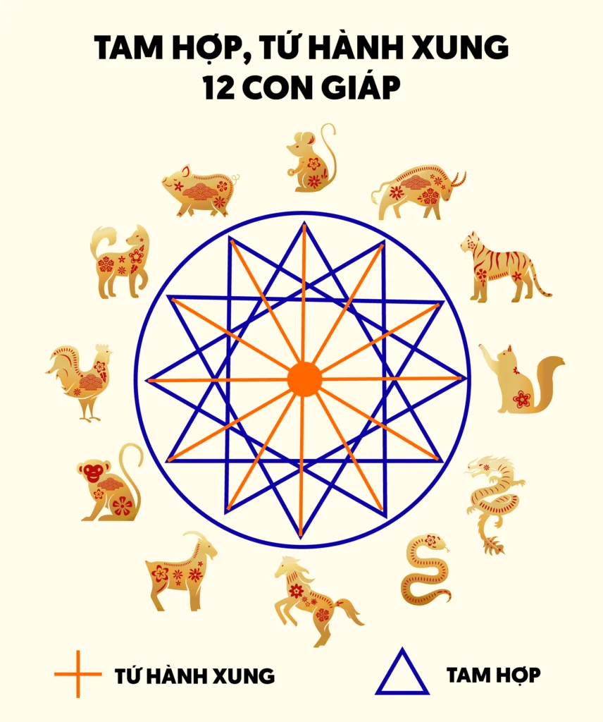 Cách xem tam hợp 12 con giáp chuẩn xác nhất