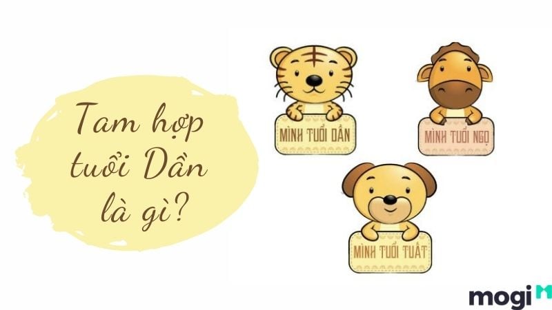 Tam hợp tuổi Dần mang lại may mắn và thịnh vượng
