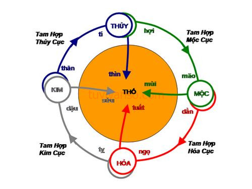 Tam hợp tuổi Dậu mang lại may mắn và thành công