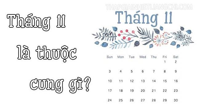 Tháng 11 và các cung hoàng đạo