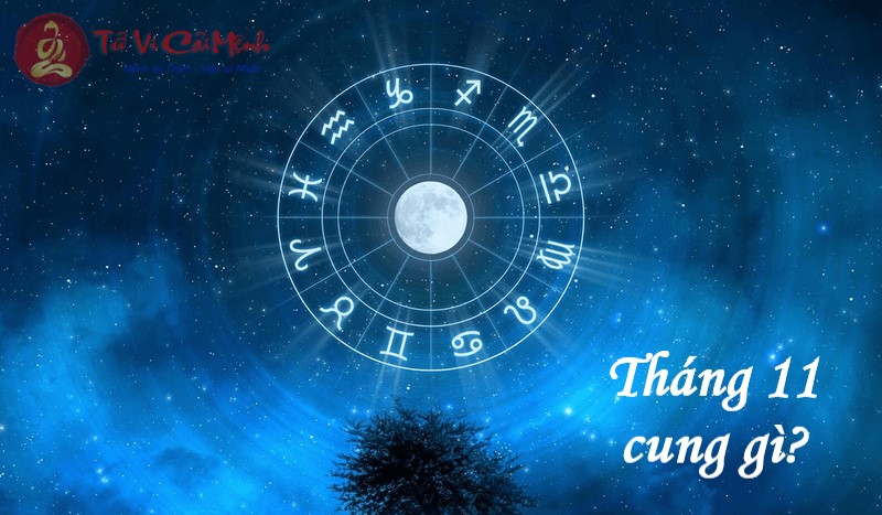 Biểu đồ cung hoàng đạo tháng 11