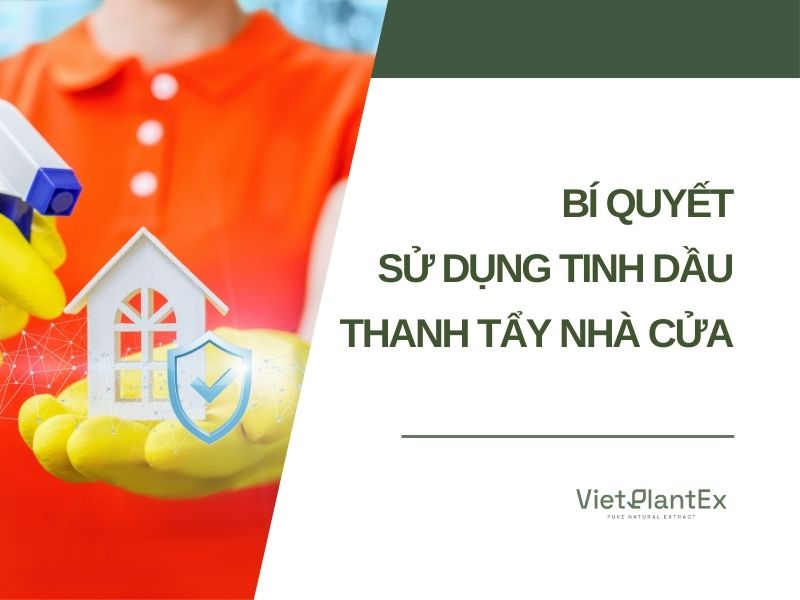 Nghi lễ cúng thanh tẩy nhà truyền thống Việt Nam