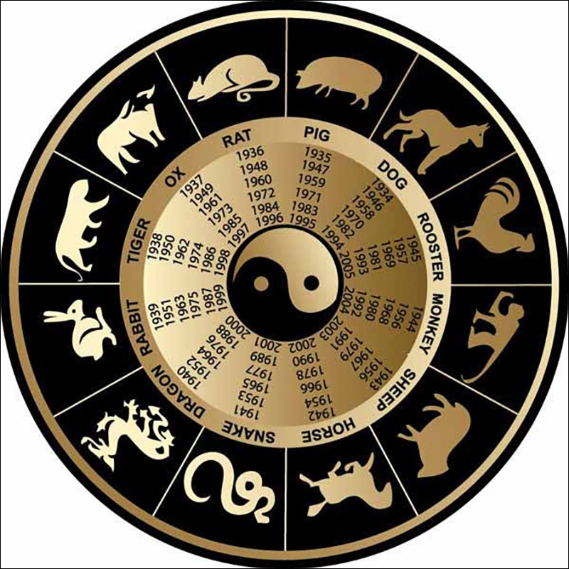 can chi trong tử vi và ý nghĩa phong thủy