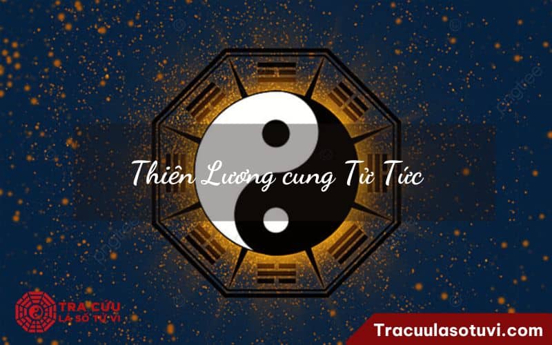Cung tử tức là gì trong tử vi phong thủy