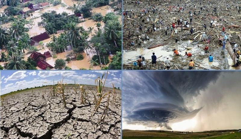 Khái niệm về thiên tài trong cuộc sống hiện đại