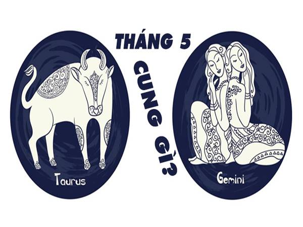Cung Kim Ngưu hợp với cung nào