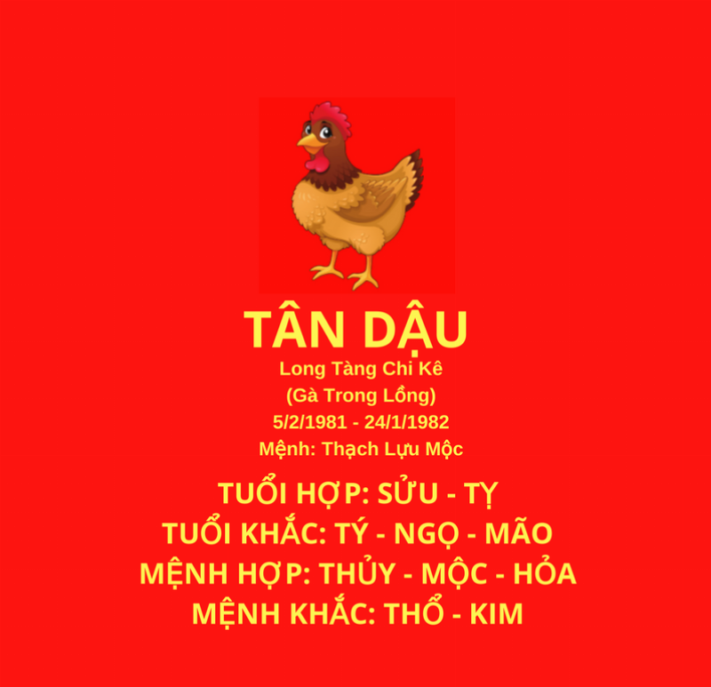 Tử vi trọn đời tuổi Tân Dậu 1981: Những chuyển biến đặc biệt trong vận mệnh nam nữ sinh năm này Tử vi nữ mạng Tân Dậu 1981