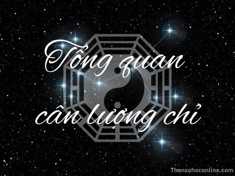 can chi trong tử vi và ý nghĩa phong thủy
