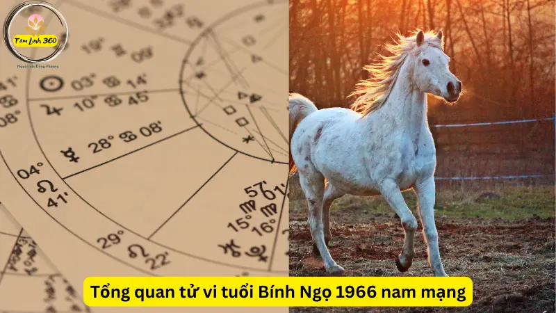 Tử vi tuổi Bính Ngọ 1966 nam mạng