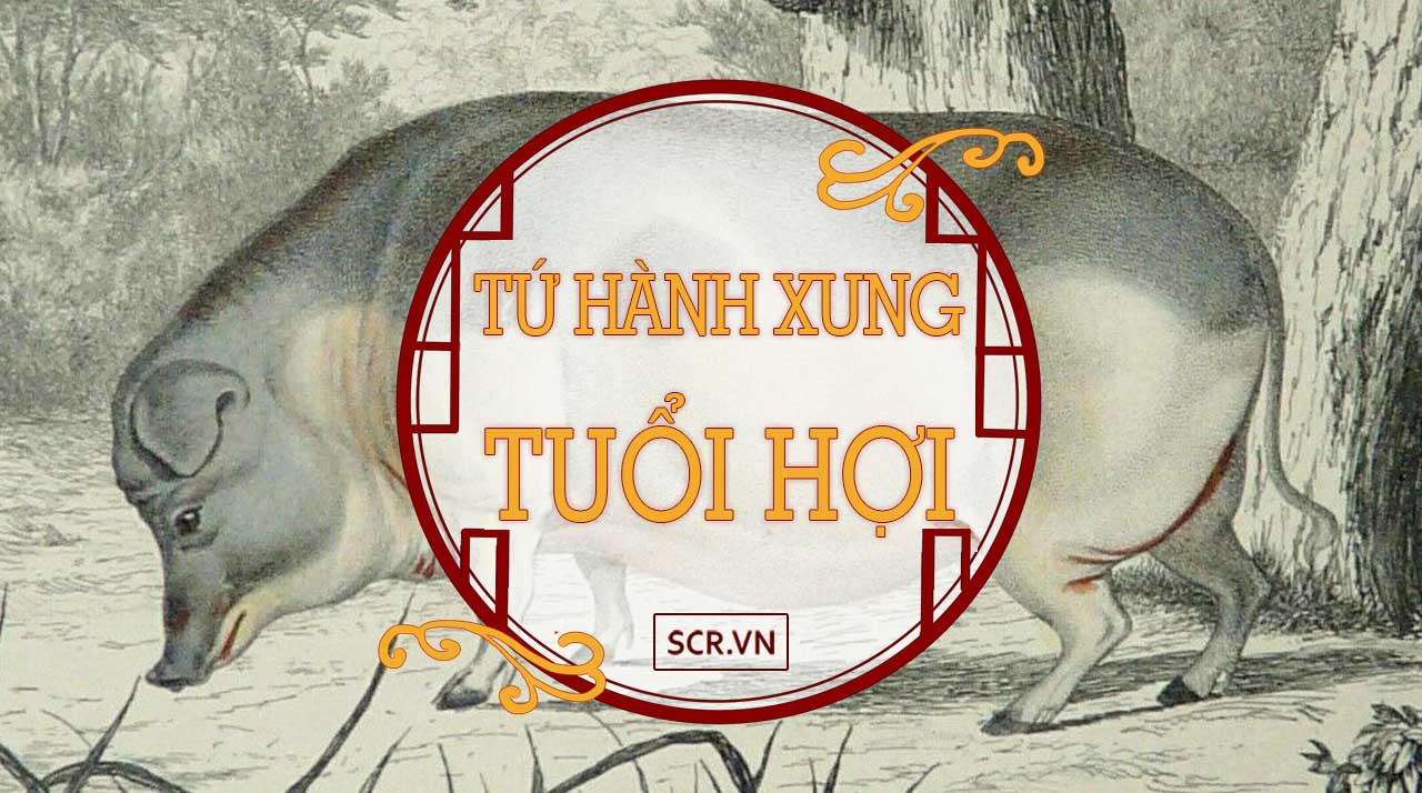 Nam nữ tuổi Ất Hợi 1995 ý nghĩa phong thủy