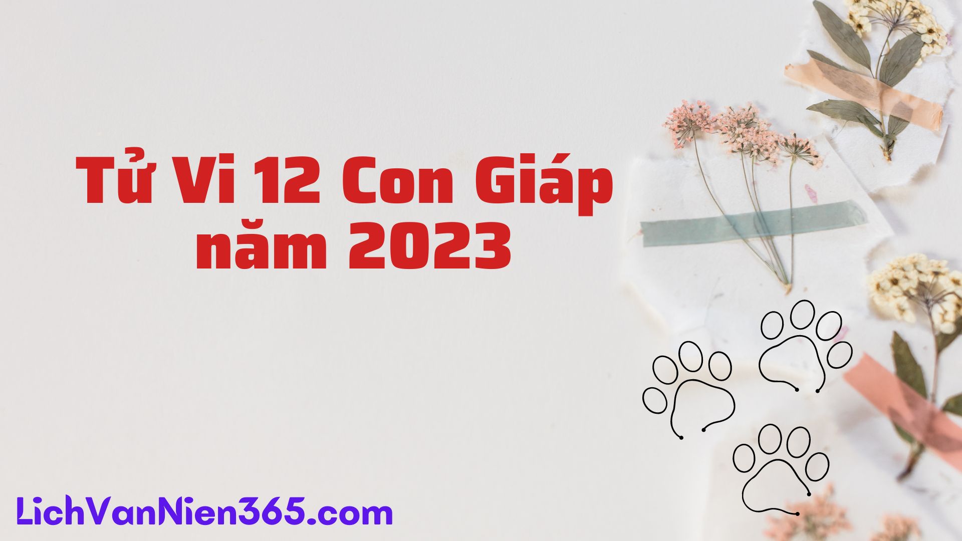 Tử vi 12 con giáp năm Quý Mão