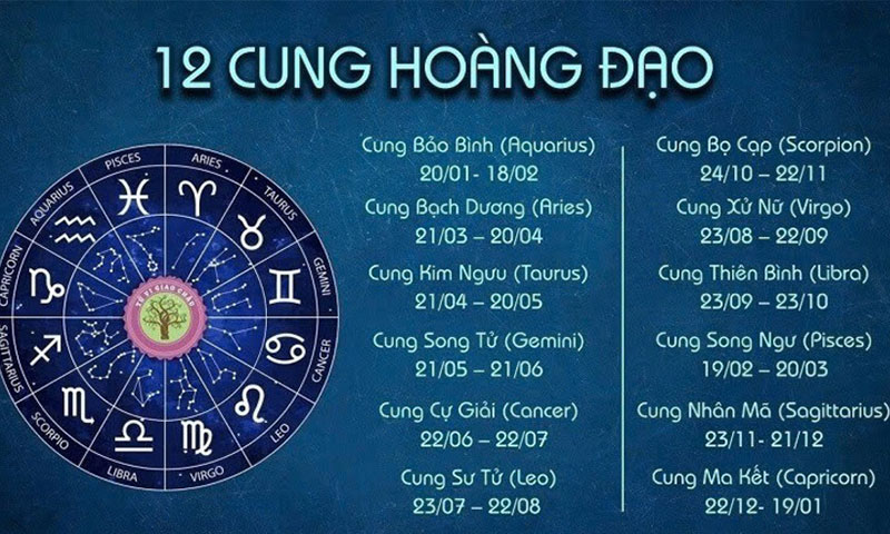 cung tử vi và ý nghĩa của từng cung
