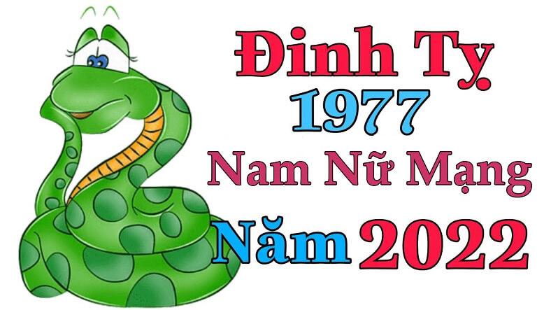 Tử vi tuổi Đinh Tỵ 1977 nữ mạng năm 2026