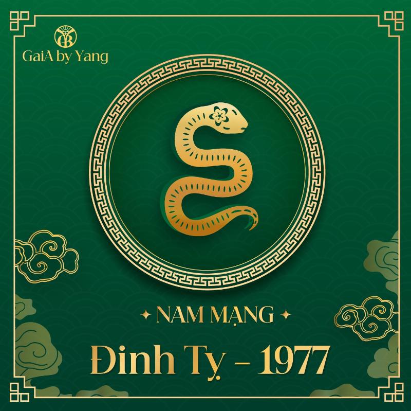 Giải Mã Tử Vi Tuổi Đinh Tỵ 1977 Nam Mạng Năm 2026: Vận Hạn, Tài Lộc, Sức Khỏe Và Cách Hóa Giải Tử vi Đinh Tỵ 1977 nam mạng năm 2026