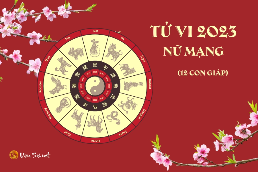 Tử vi nữ mạng là gì và ý nghĩa chi tiết