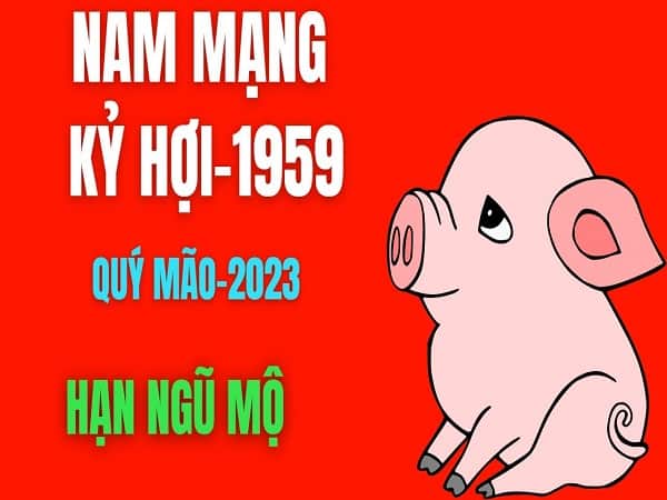 Tử vi nam Kỷ Hợi 1959 năm 2026 chi tiết