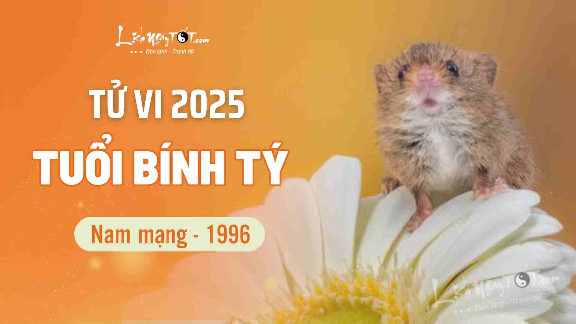 Tử vi nữ Bính Tuất 2006 năm 2025 chi tiết