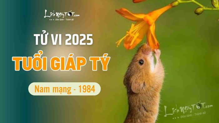 Tử vi nữ Giáp Tý 1984 năm 2025 chi tiết