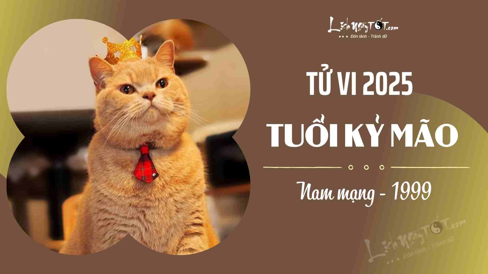 Tử vi tuổi Tân Mão 2011 nữ mạng năm 2025