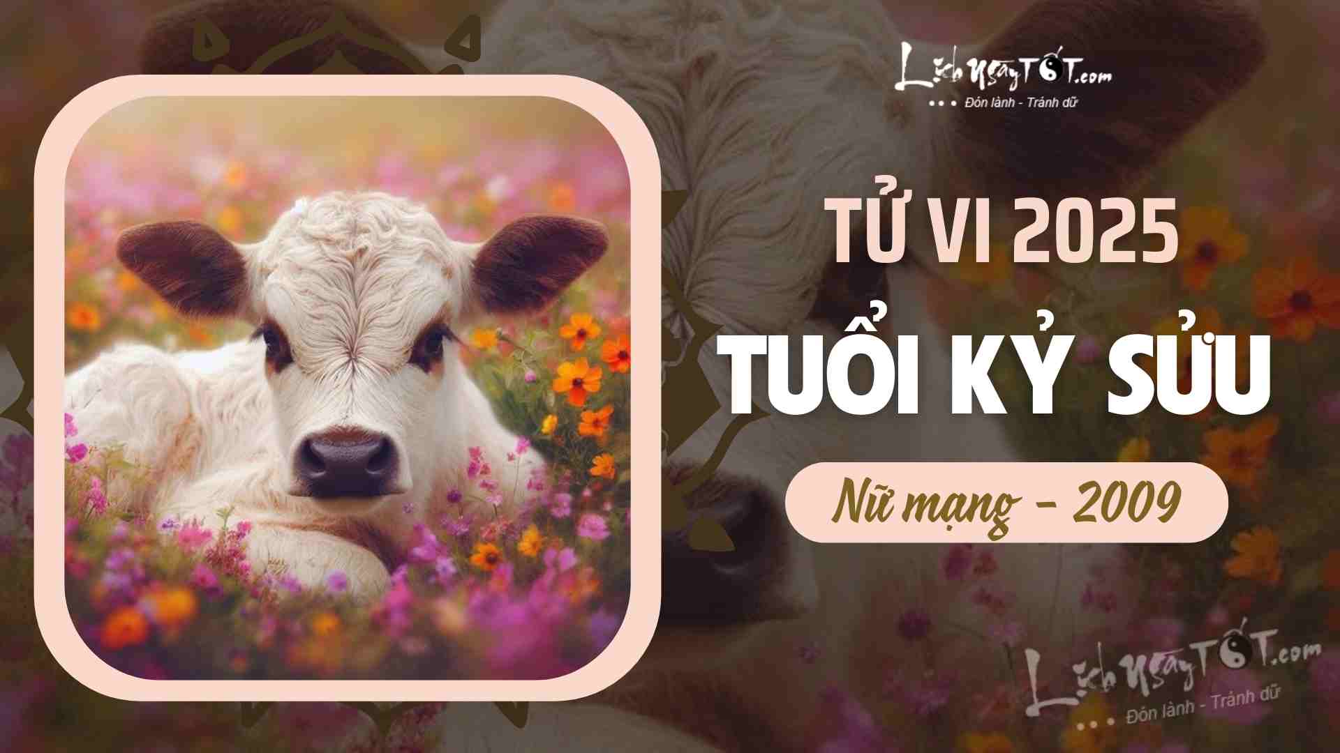 Tử vi nữ Kỷ Sửu 2009 năm 2025 chi tiết