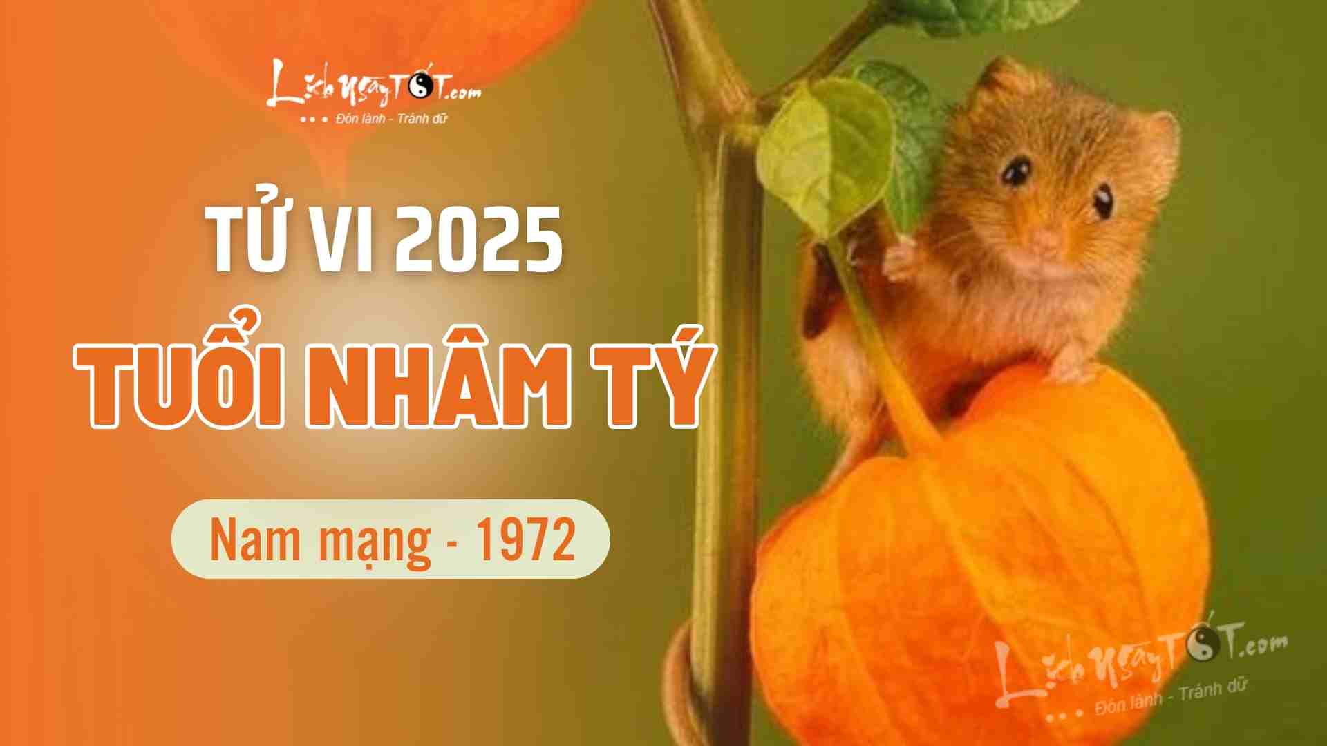 Tử vi tuổi Nhâm Tý 1972 nữ mạng năm 2025