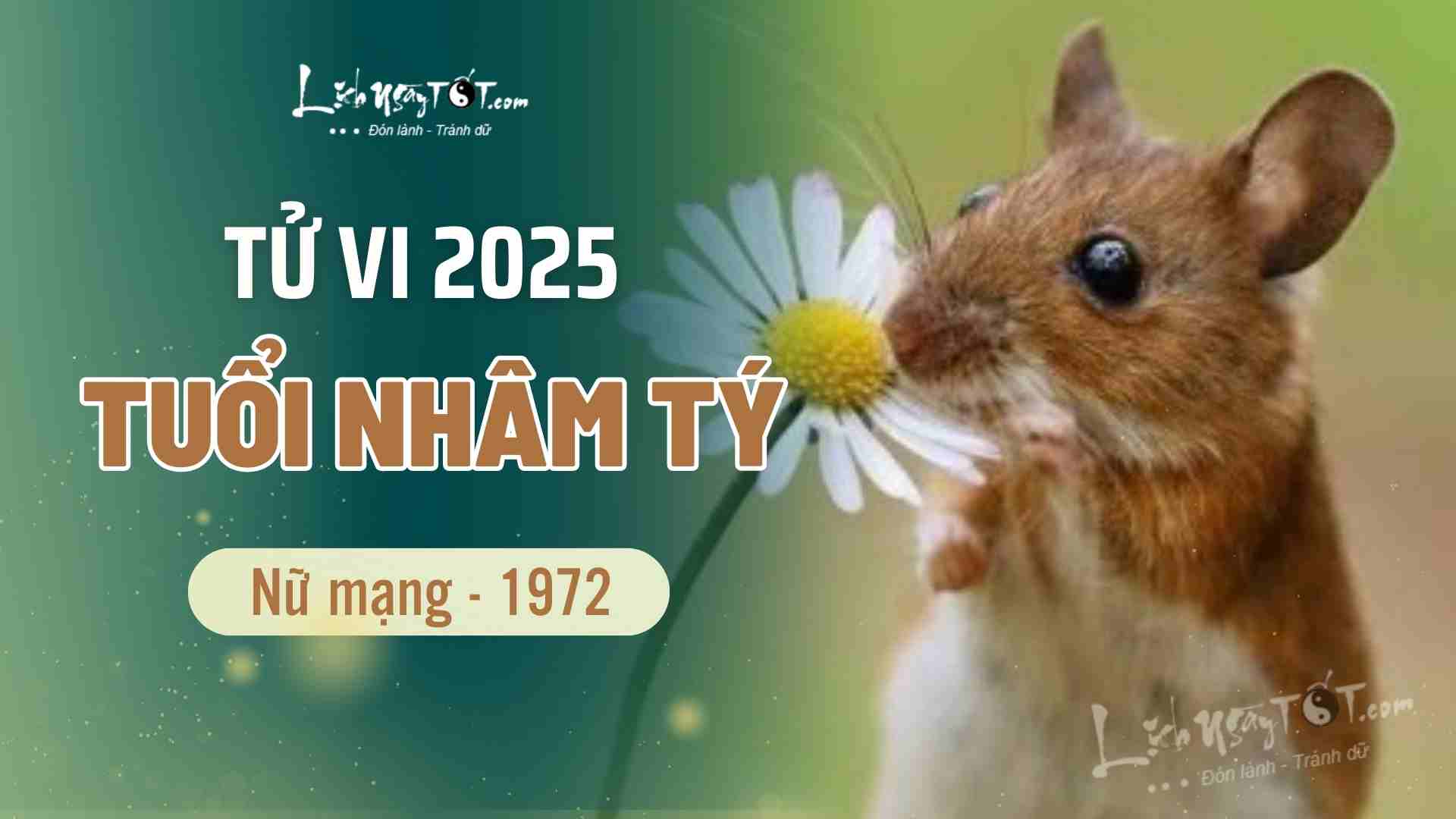 Tử vi tuổi Nhâm Tý 1972 nữ mạng năm 2025