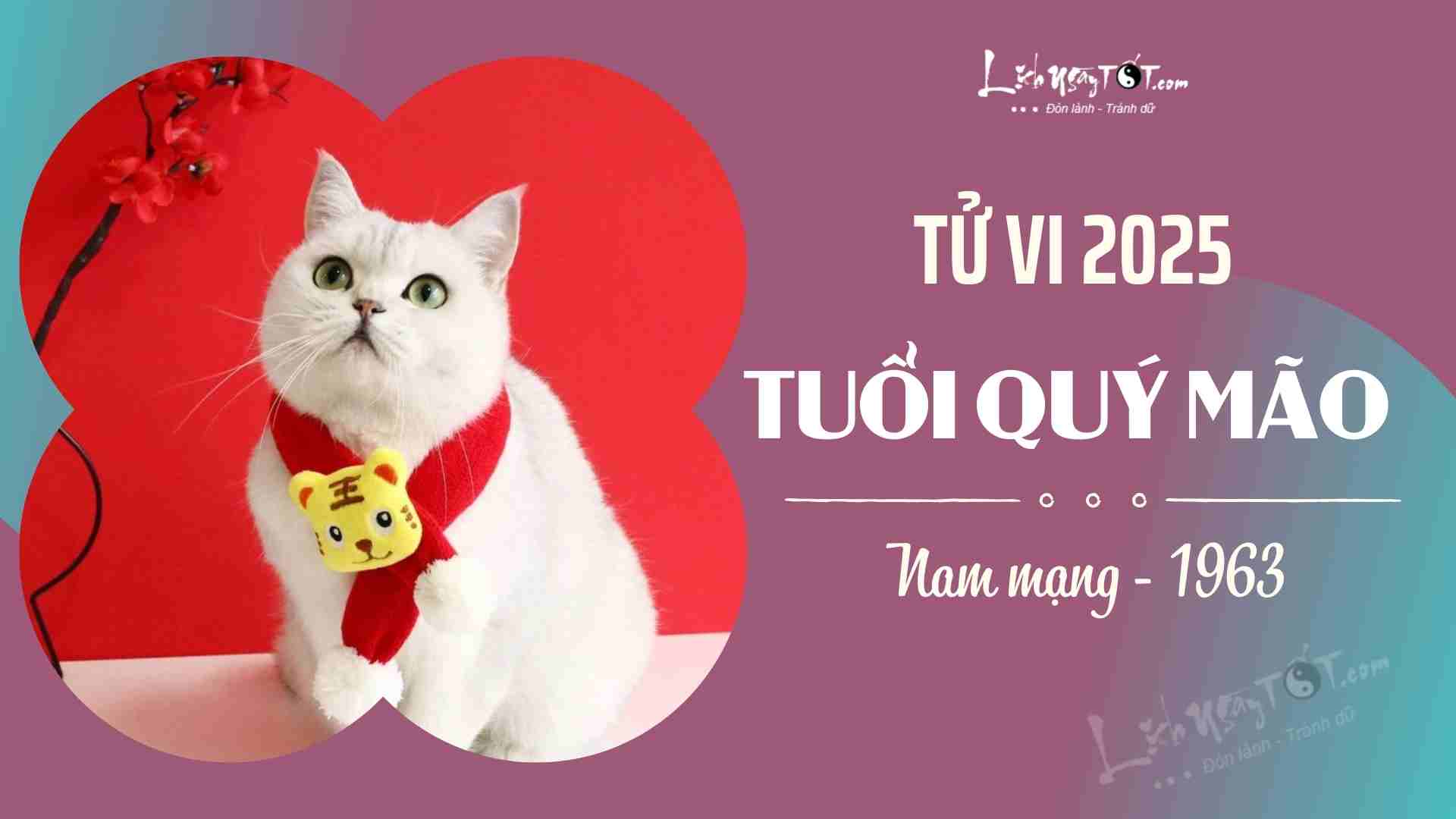 Tử vi tuổi Tân Mão 2011 nữ mạng năm 2025