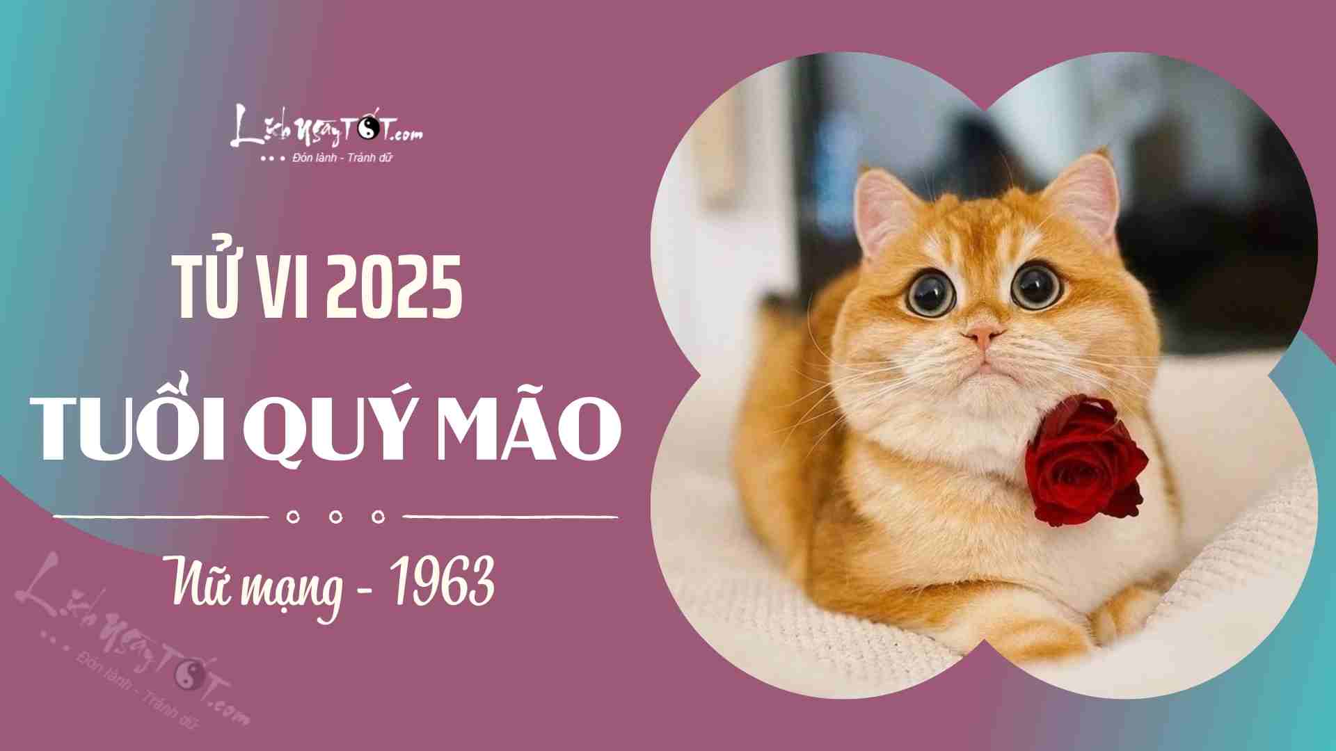 Tử vi tuổi Quý Tỵ 2013 nữ mạng năm 2025
