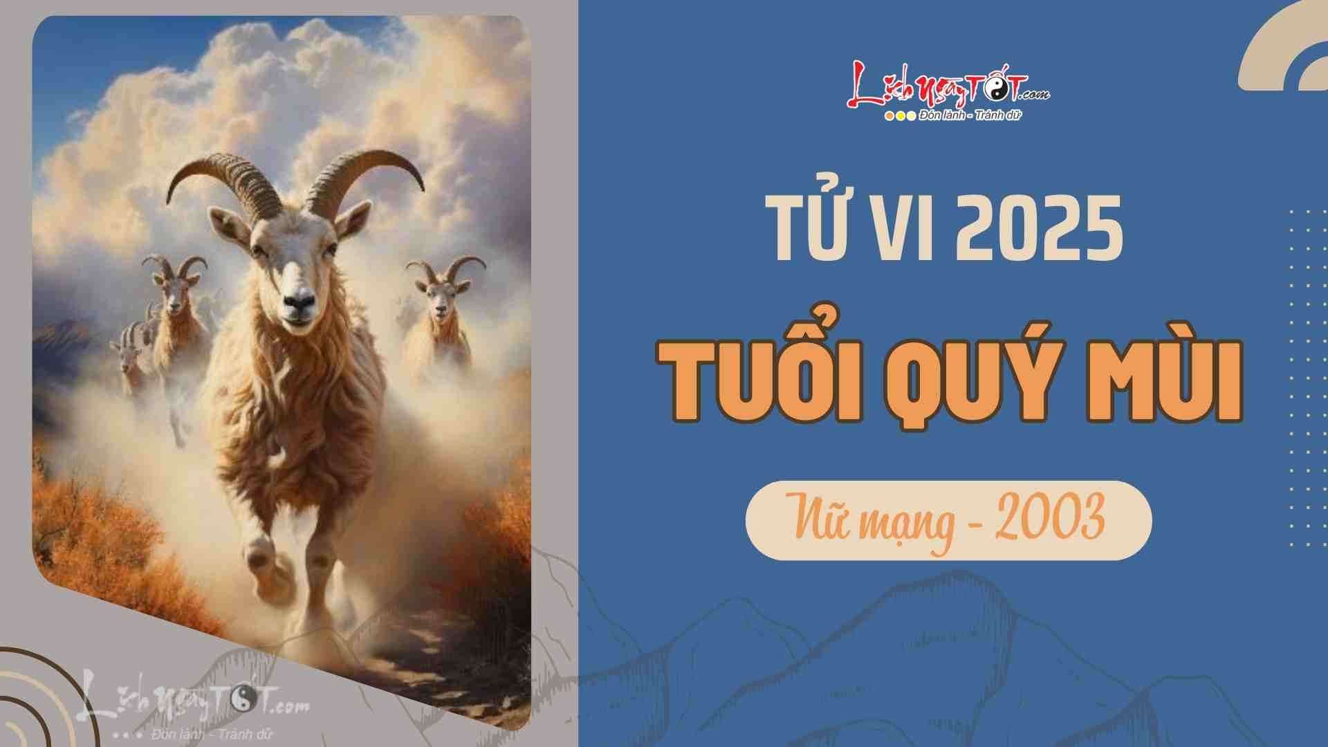 Tử vi nữ mạng là gì và ý nghĩa chi tiết