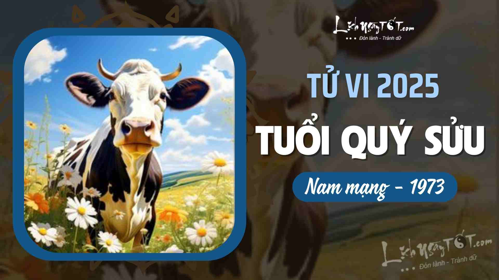 Bói tử vi nam mạng chi tiết và ý nghĩa