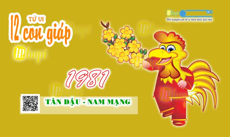 Tử vi tuổi Tân Dậu 1981 nữ mạng năm 2025