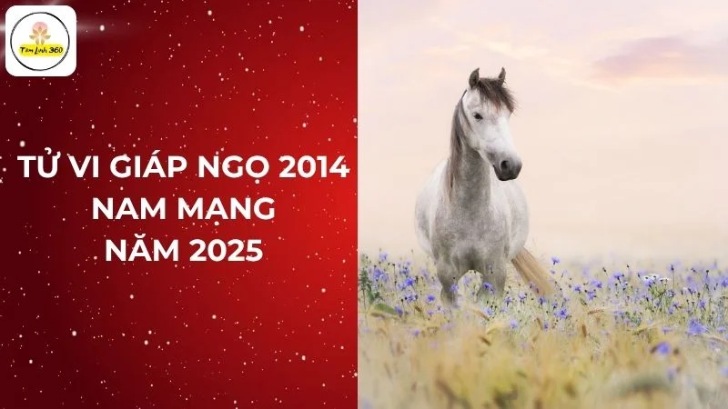 Tử vi trọn đời nam Giáp Ngọ 2014