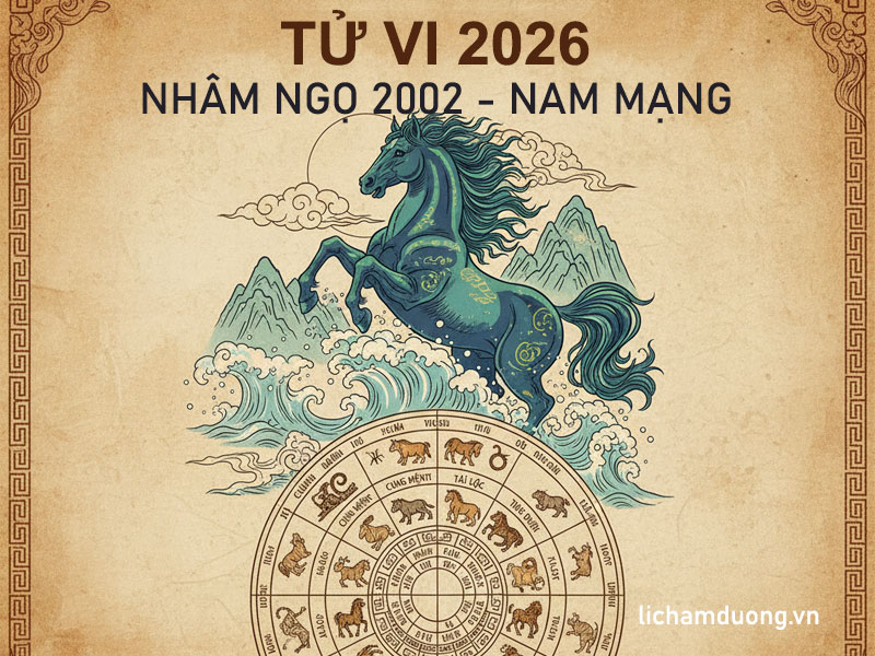 Tử vi nam Nhâm Ngọ 2002 năm 2026 chi tiết
