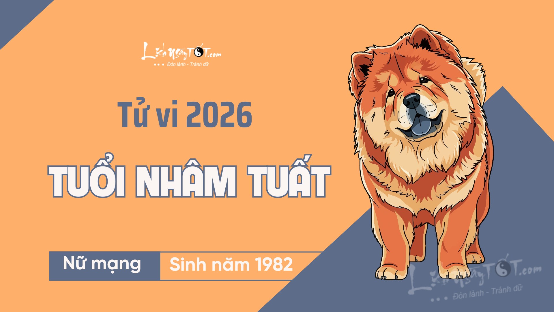 Tử vi nữ Nhâm Tuất 1982 năm 2026 chi tiết