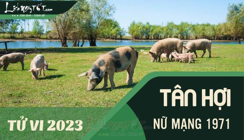 Tử vi nữ Tân Hợi 1971 năm 2026 chi tiết