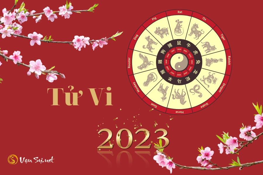 Tổng quan tử vi trọn đời 2023