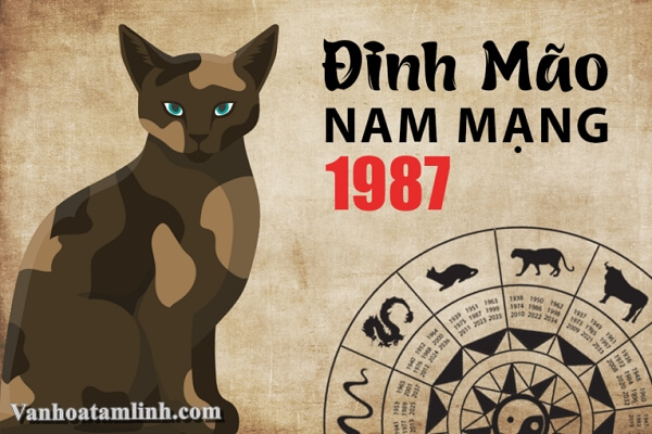Tử vi trọn đời nam Đinh Mão 1987