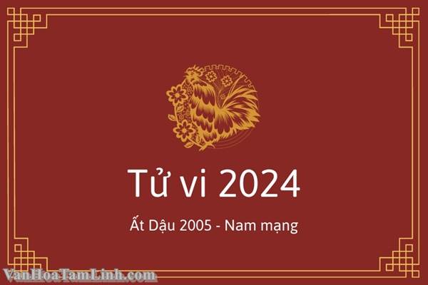Tử vi năm 2026 cho nam Ất Dậu 2005